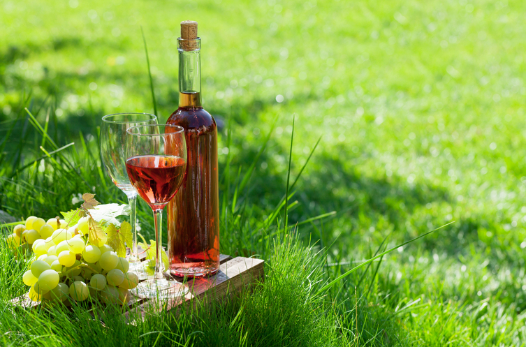 Les cépages utilisés dans les vins rosés de Provence - Focus sur les Côtes de Provence